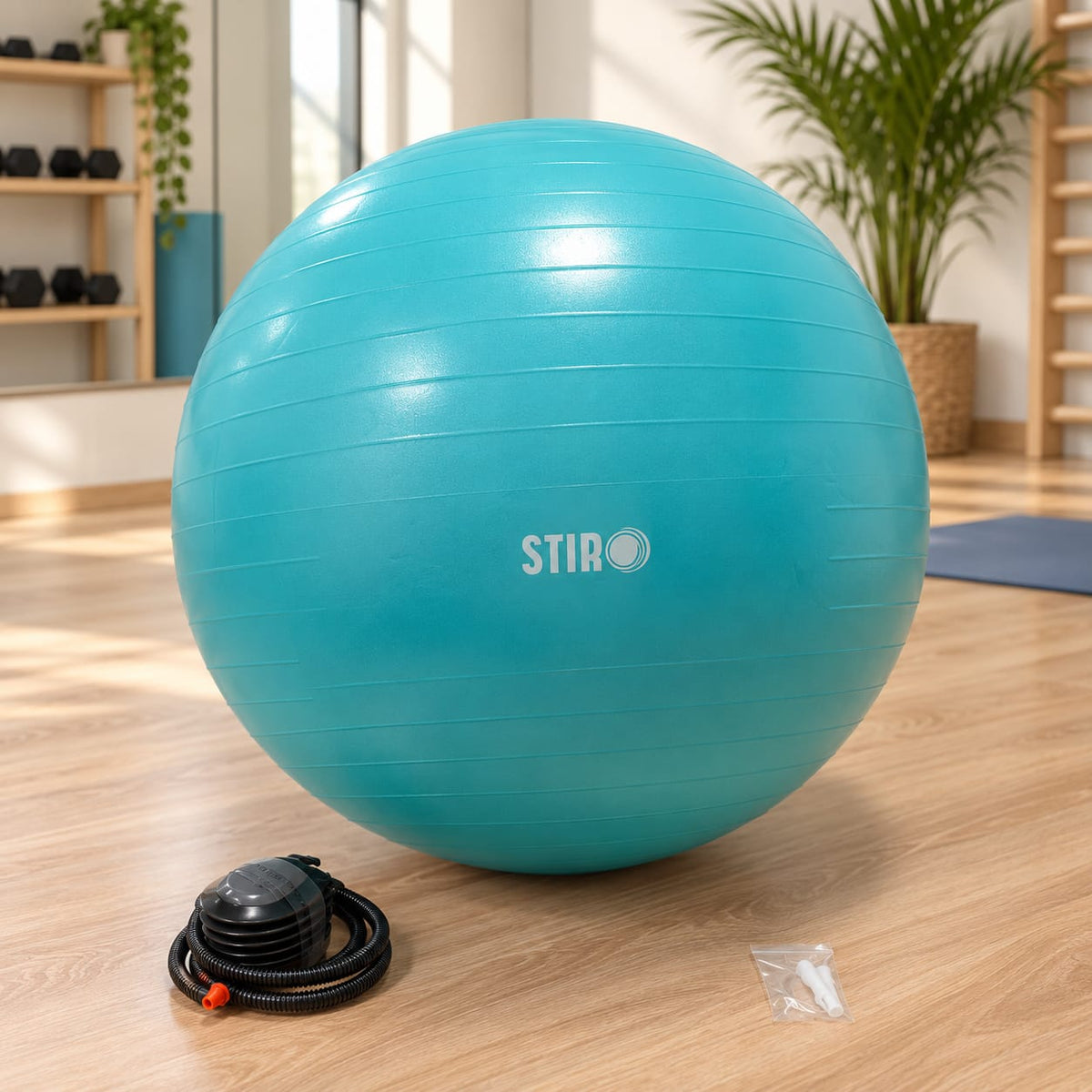 Gymnastikball (Ø 65 cm)