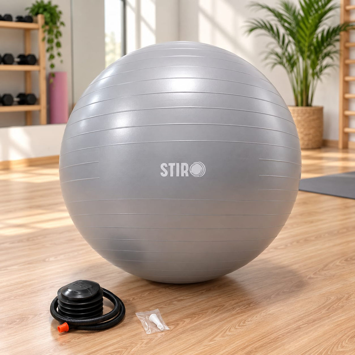 Gymnastikball (Ø 65 cm)