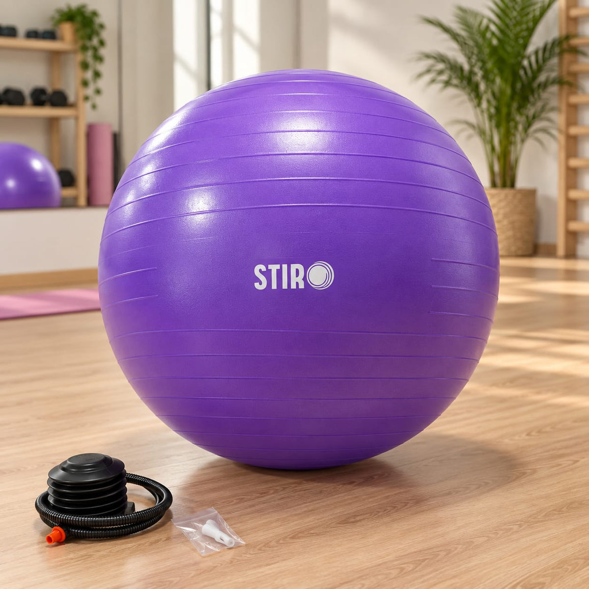 Gymnastikball (Ø 65 cm)
